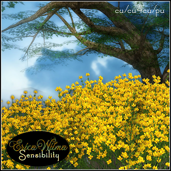 (image for) EW Genista